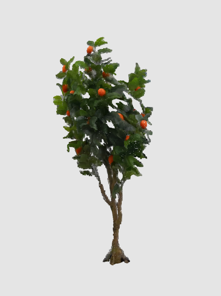 Dracaena Visualization